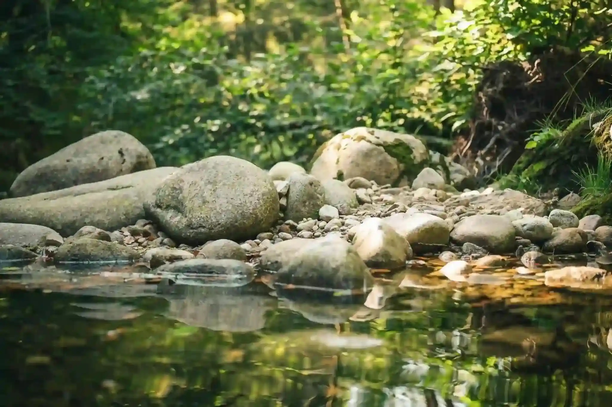 Lagoa da Conceição: imagem de lago com árvores e pedras