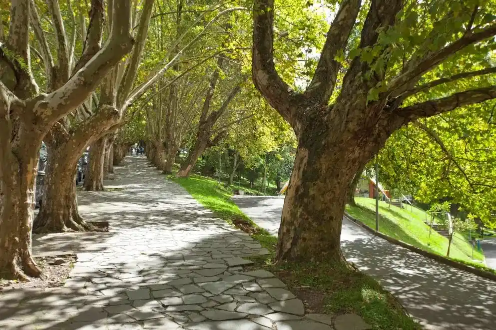 Descubra como é morar no bairro Exposição, em Caxias do Sul (Foto: Marcus V.)