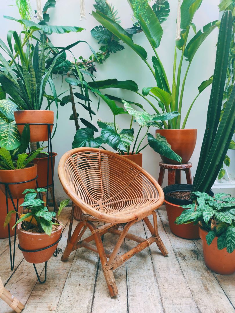 Faça da varanda um espaço cheio de vida com muitas plantinhas