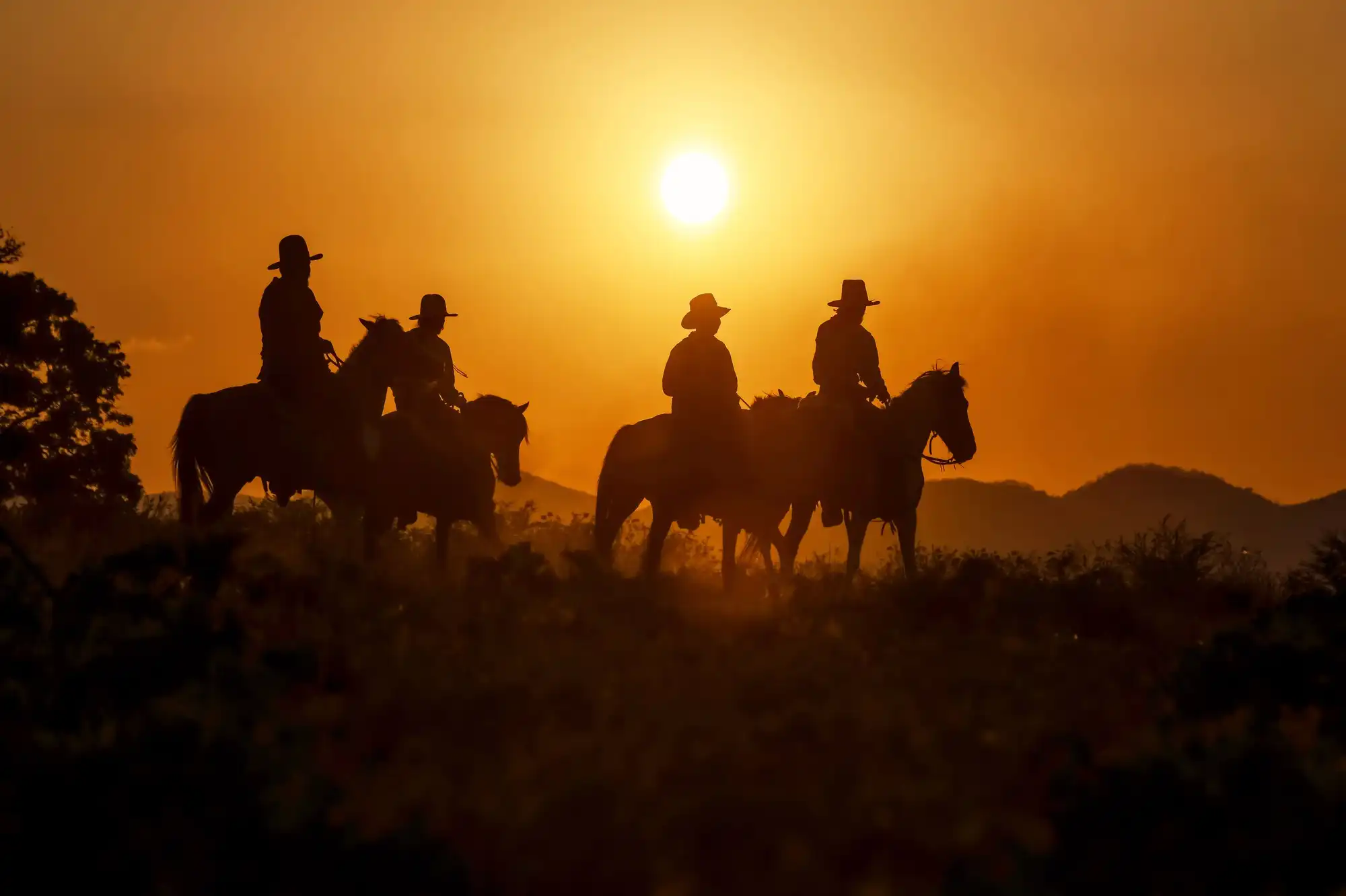 Dia do Gaúcho: imagem com silhueta de pessoas montadas em cavalos no por do sol.