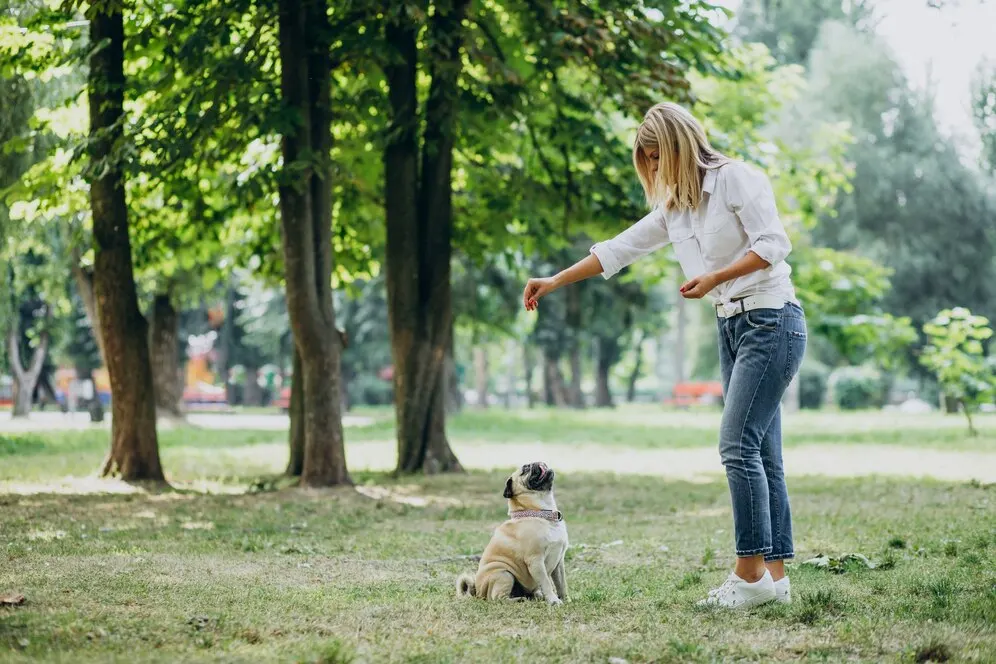 Espaço pet em condomínios: mulher junto ao seu pug, brincando em um parque