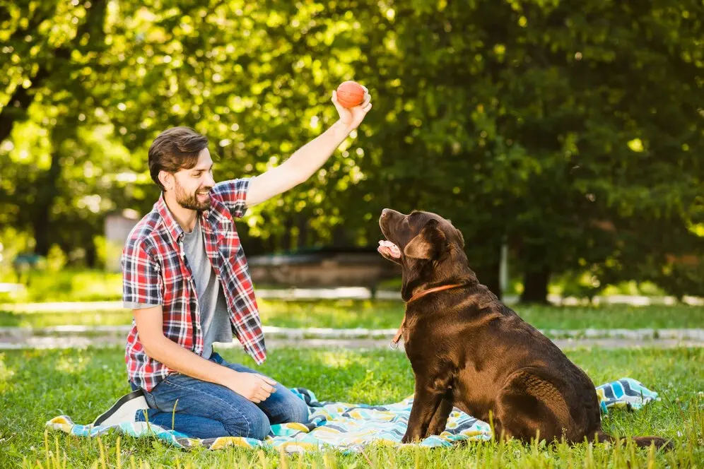 Espaço pet em condomínios: homem brinca com o seu cachorro no parque