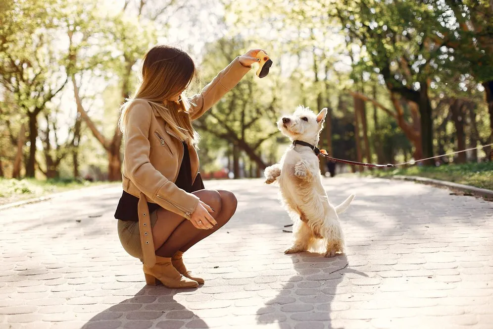 Espaço pet em condomínios: mulher agachada brinca com o seu cachorro branco que está na coleira