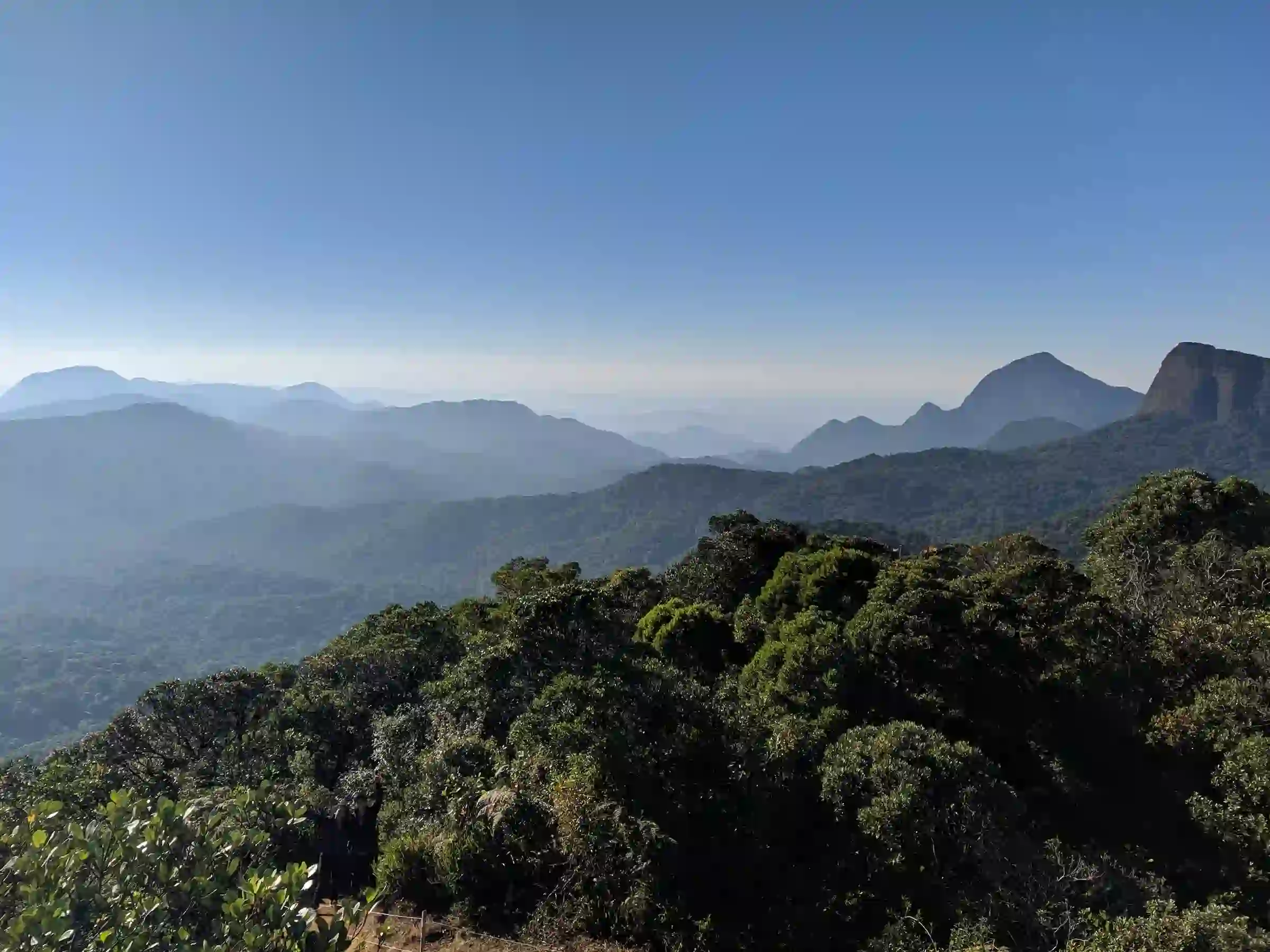 Joinville: imagem aérea de floresta e montanhas da cidade.