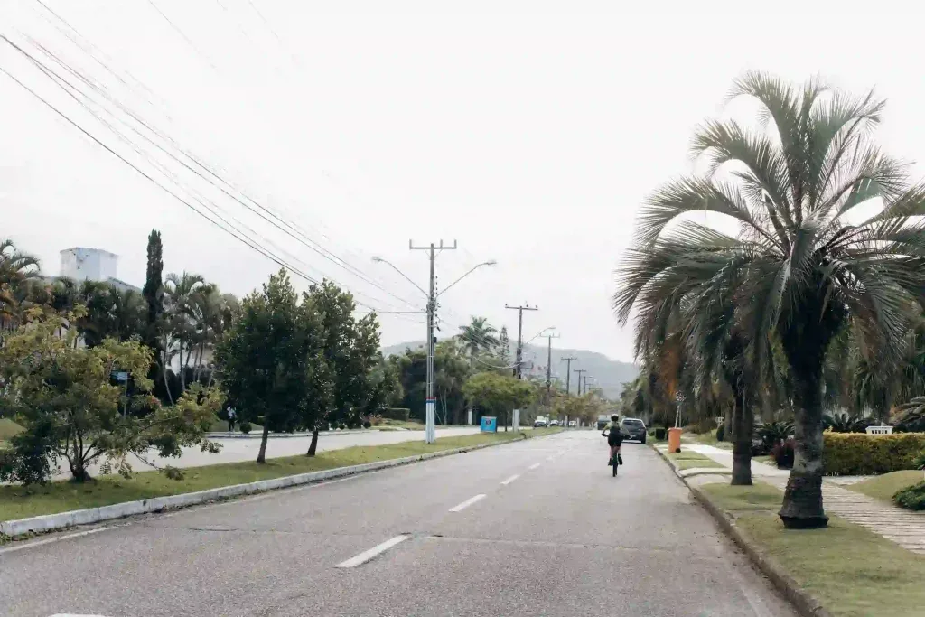 Morar em Jurerê: imagem de uma das ruas do bairro, com palmeiras, asfalto e postes de luz.