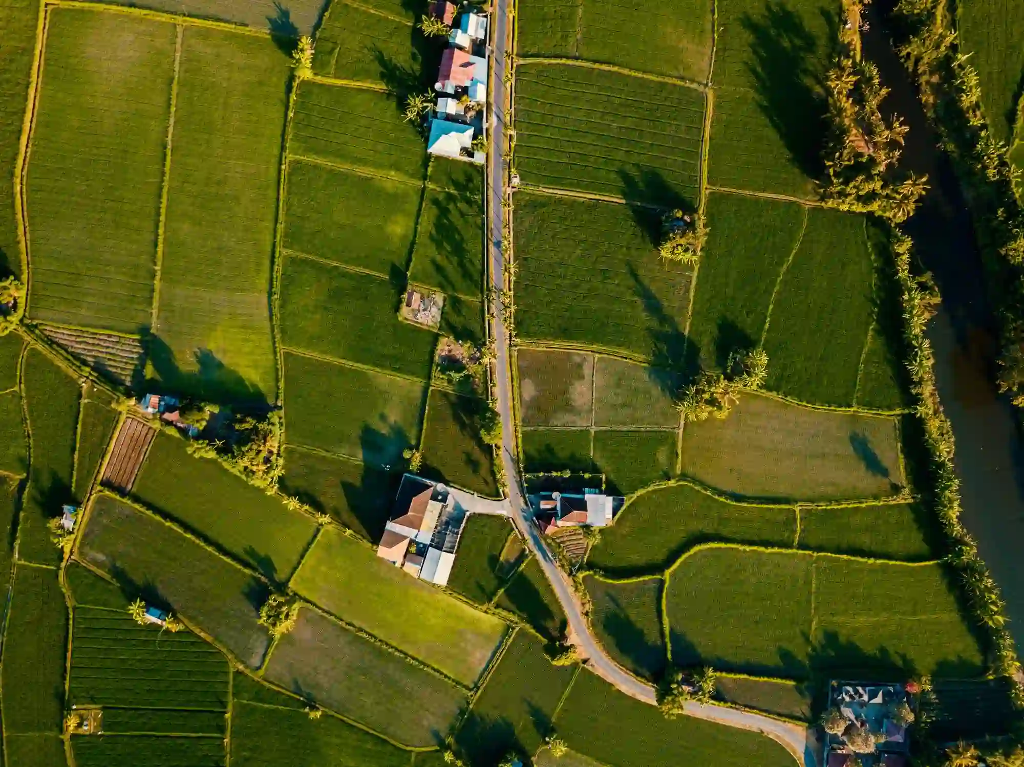 Diferença entre loteamento e condomínio: imagem aérea de loteamento com algumas casas e maioria de espaço verde.