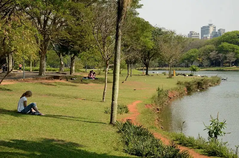 Pontos turísticos de São Paulo: Parque Ibirapuera