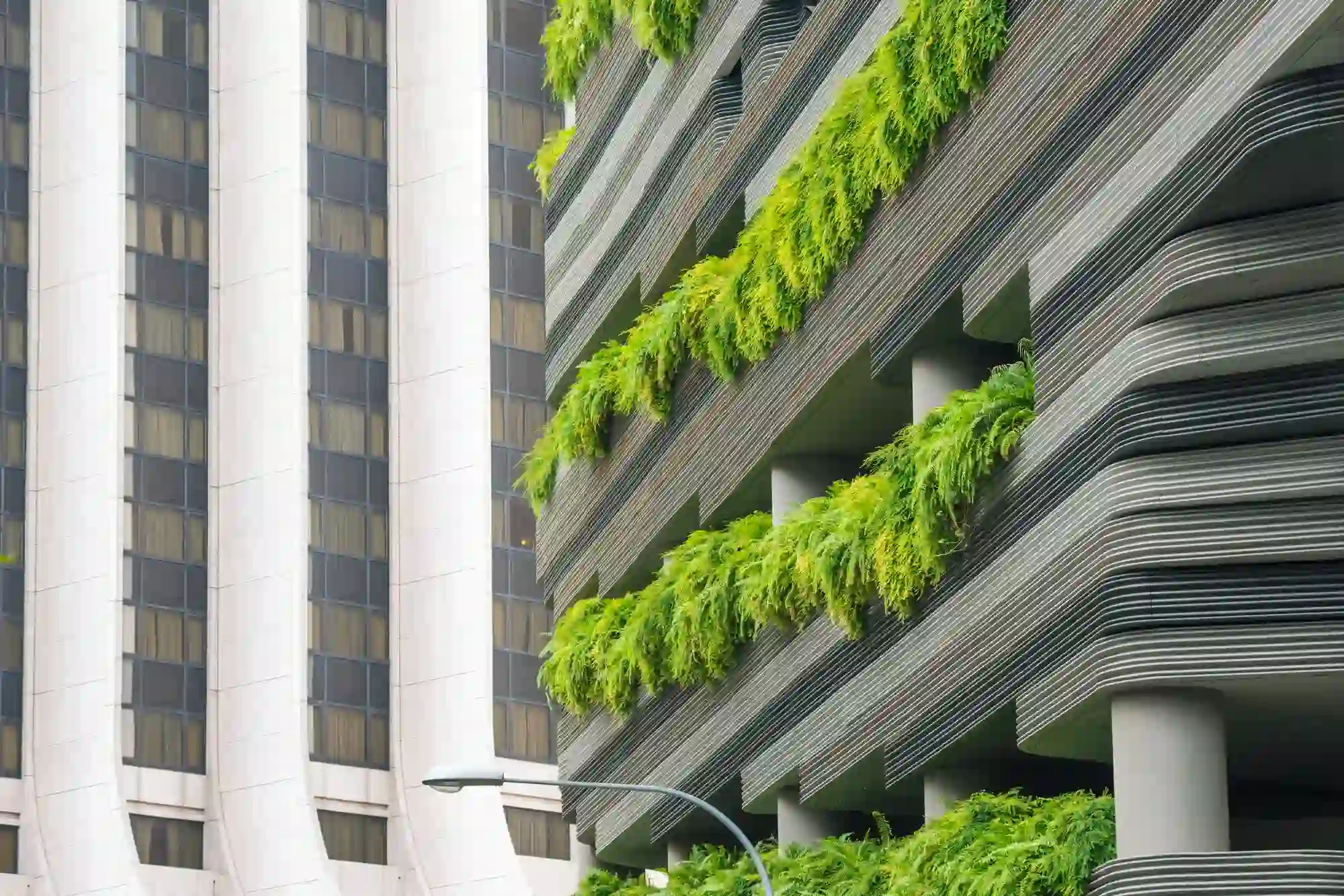 Práticas sustentáveis: condomínio com plantas nos apartamentos.