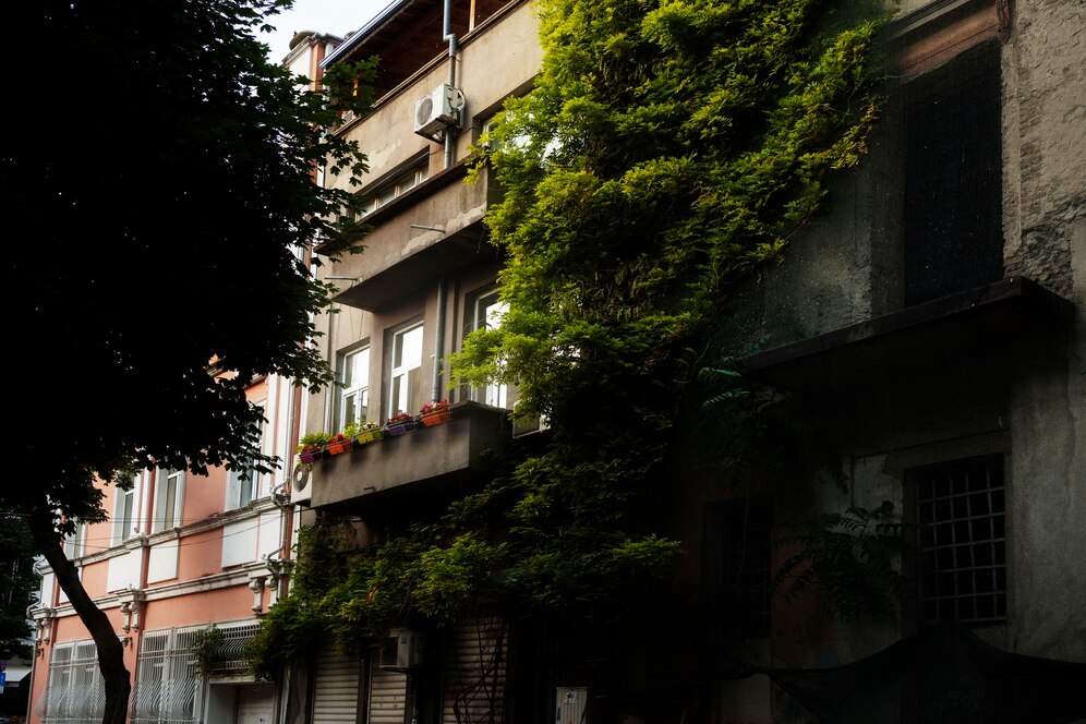 Sustentabilidade no mercado imobiliário: um guia para investidores