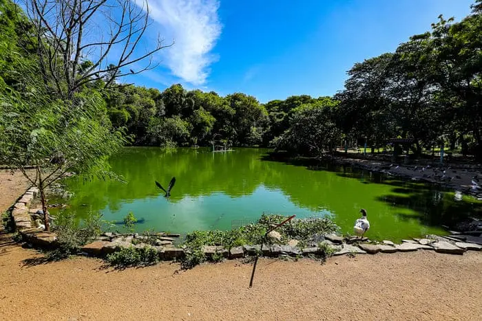 Conheça Vila Ipiranga: um bairro residencial de Porto Alegre