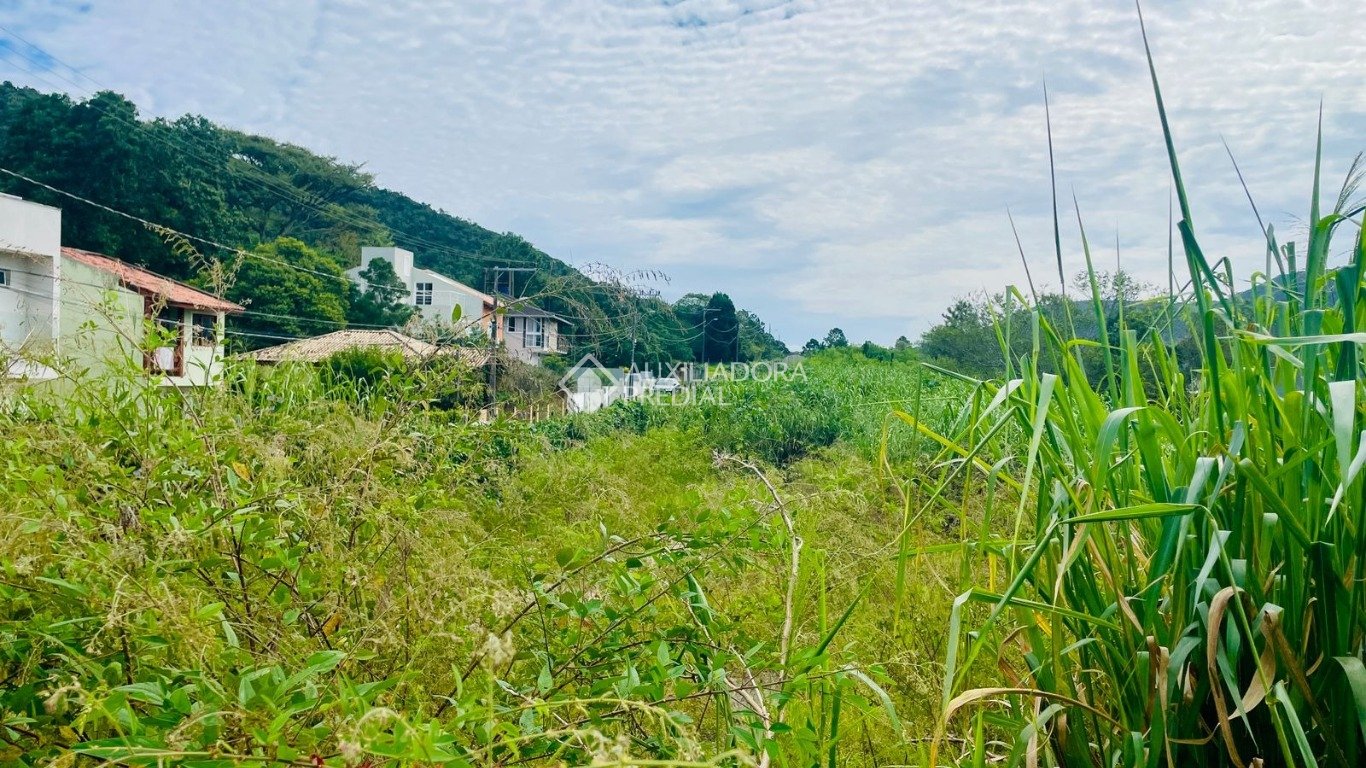 Imóvel — foto 2