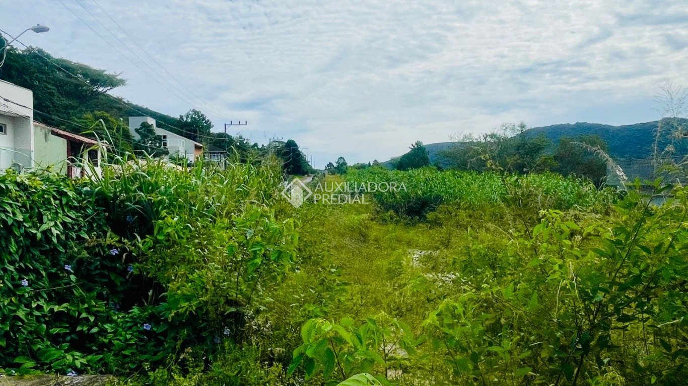 Imóvel — foto 3