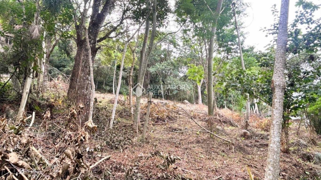Imóvel — foto 2