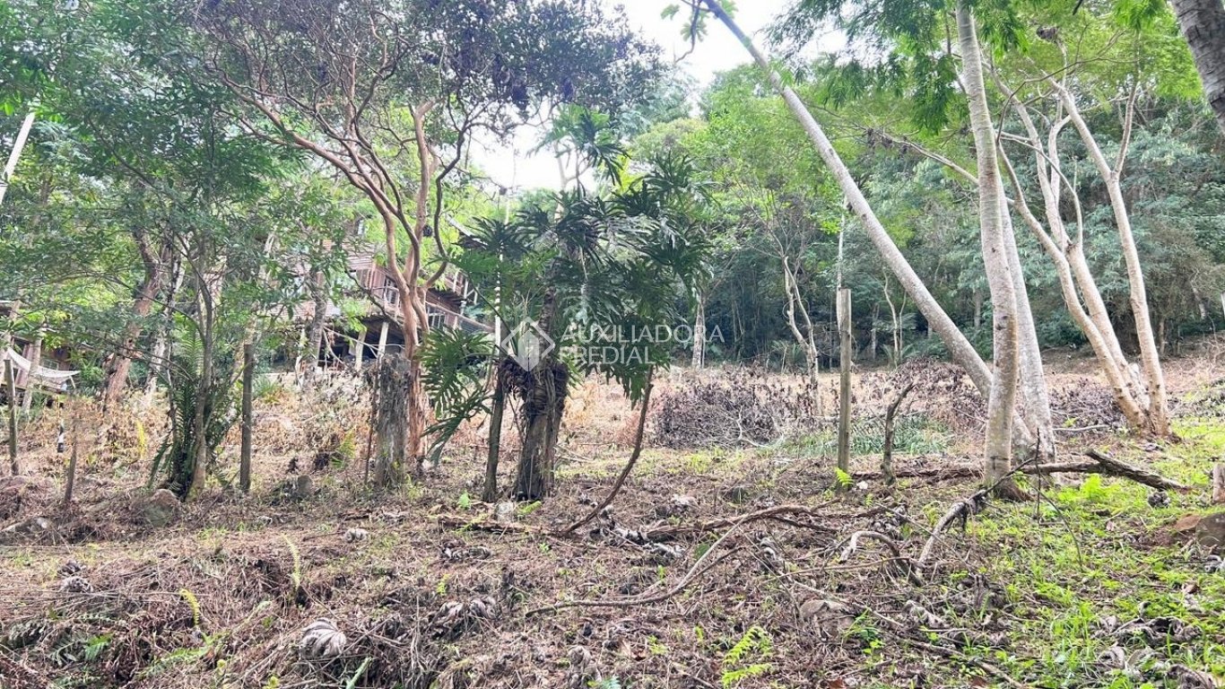 Imóvel — foto 3