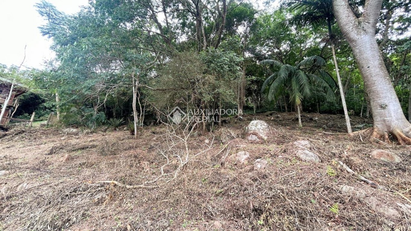 Imóvel — foto 4