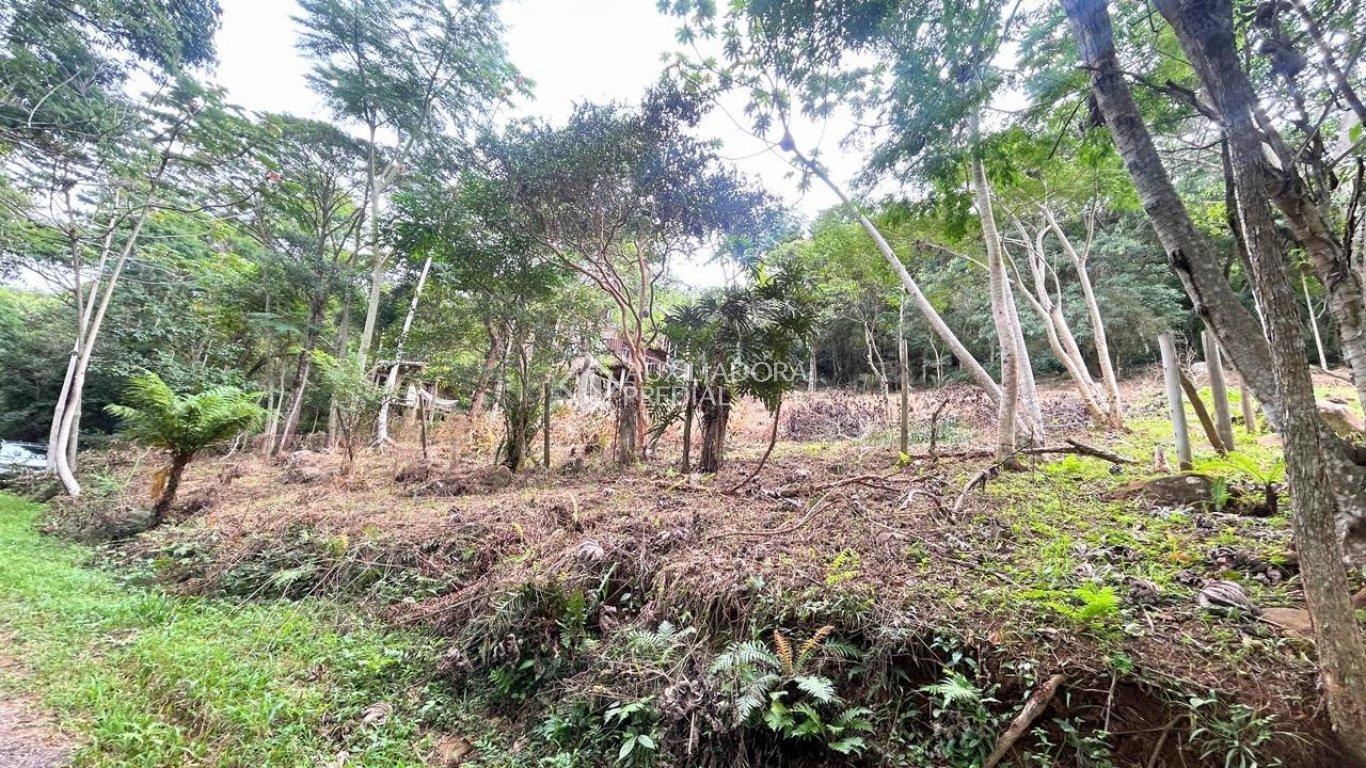Imóvel — foto 5