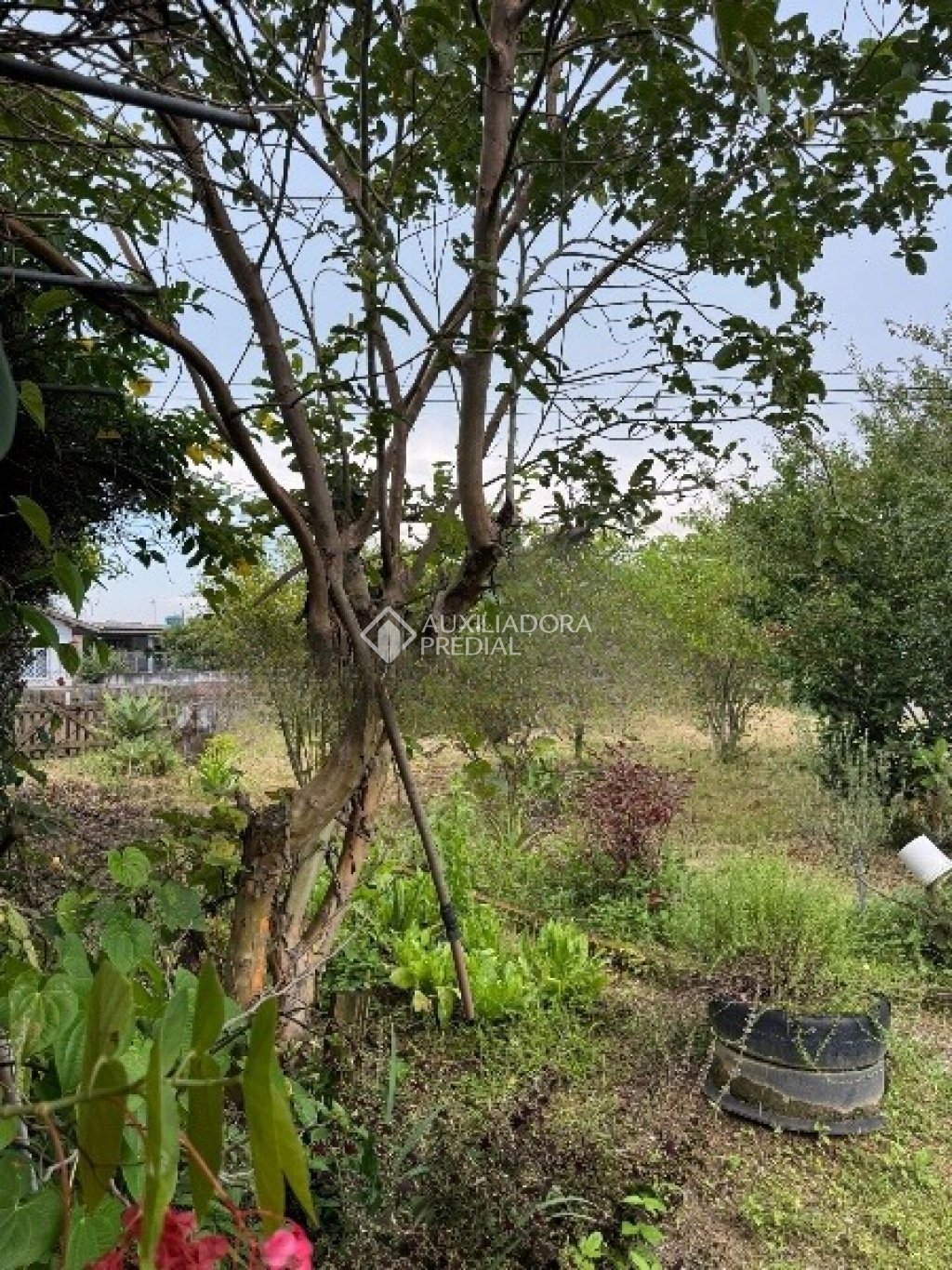 Imóvel — foto 3