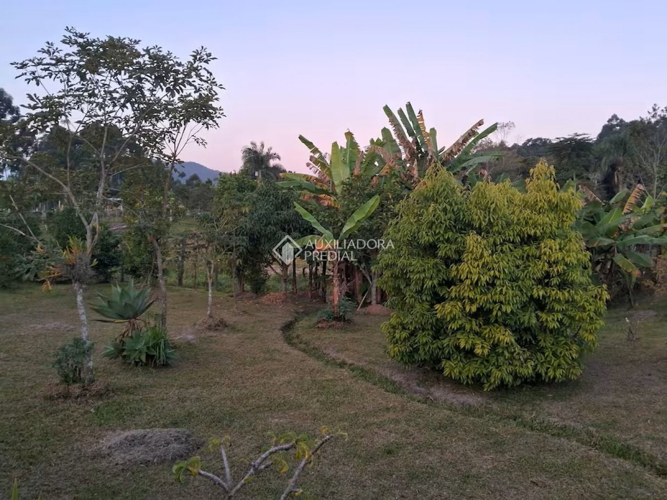 Imóvel - foto 1