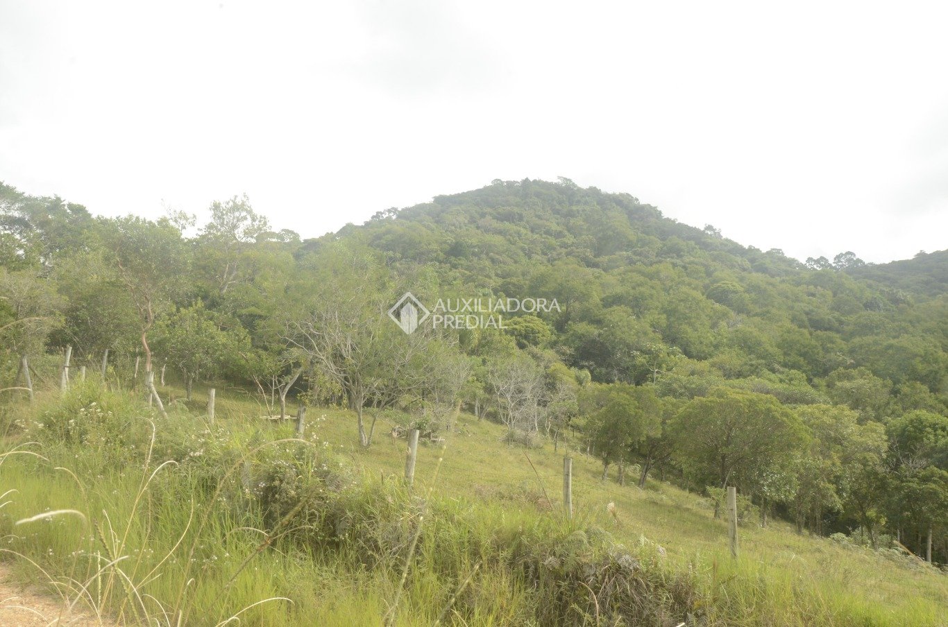 Imóvel — foto 3