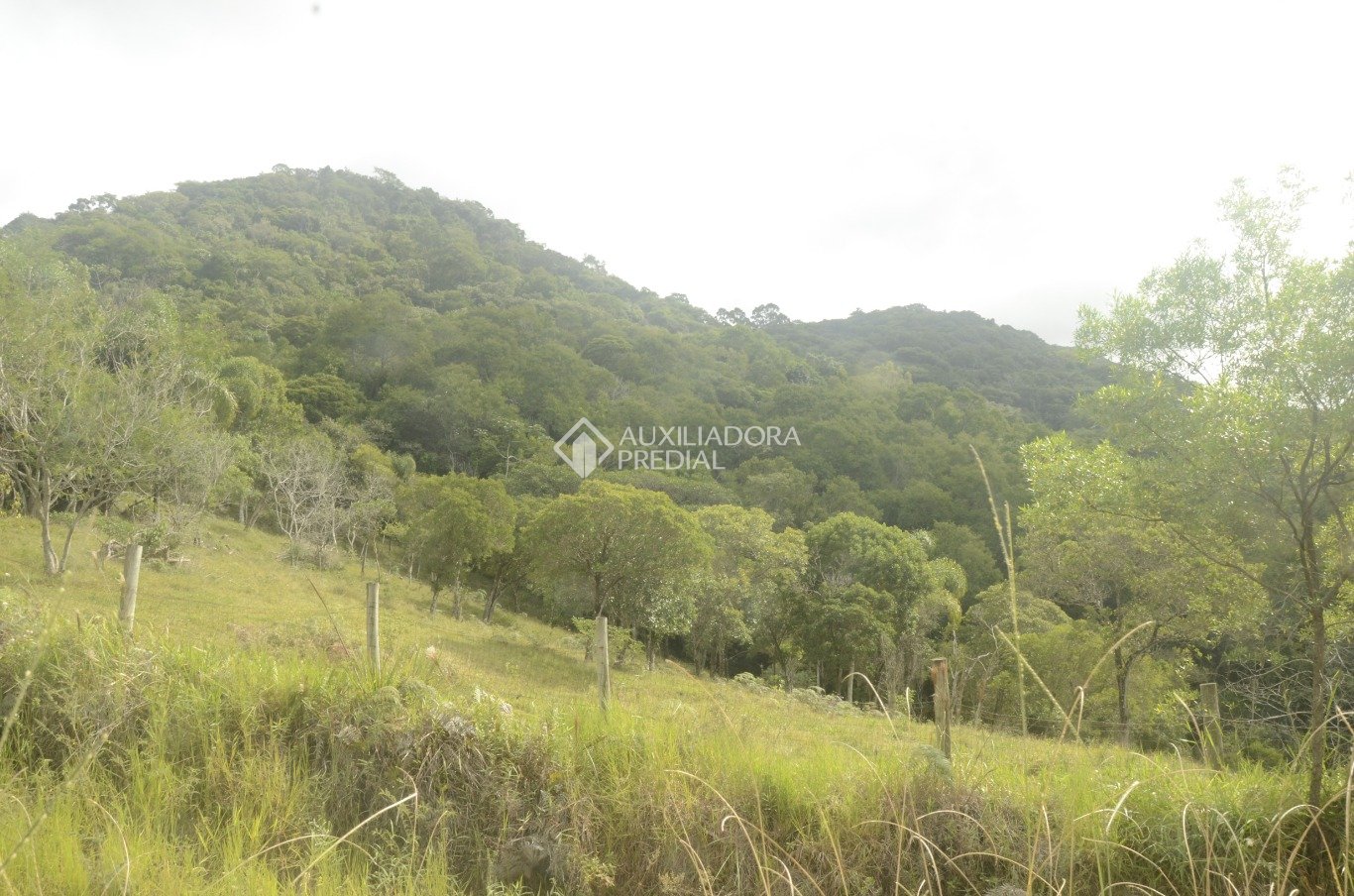 Imóvel — foto 5