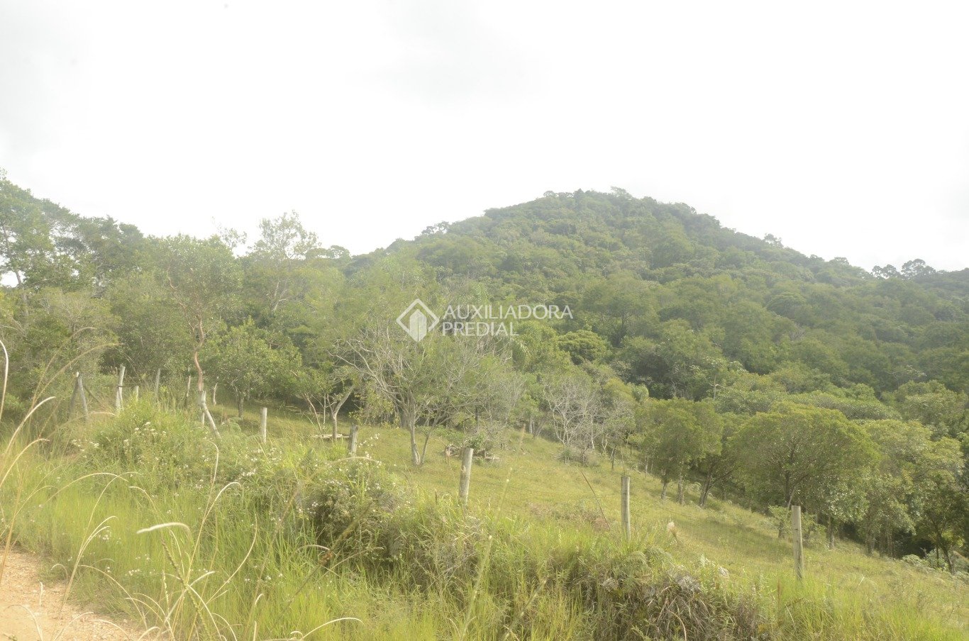 Imóvel — foto 5