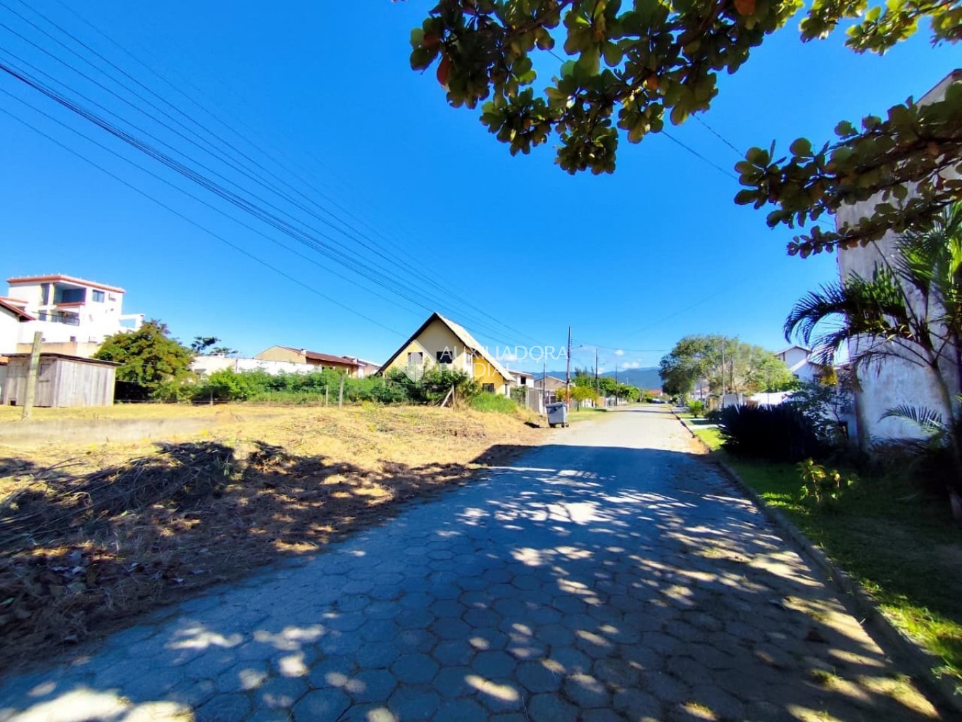 Imóvel - foto 1