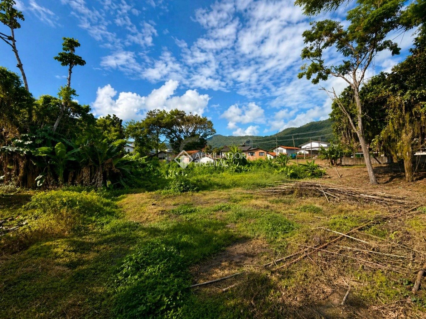 Imóvel — foto 3