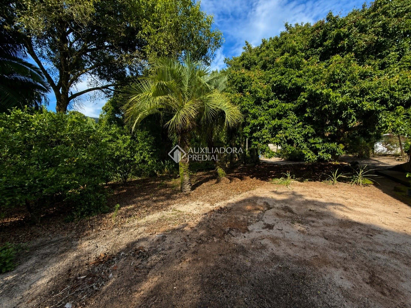 Imóvel — foto 4
