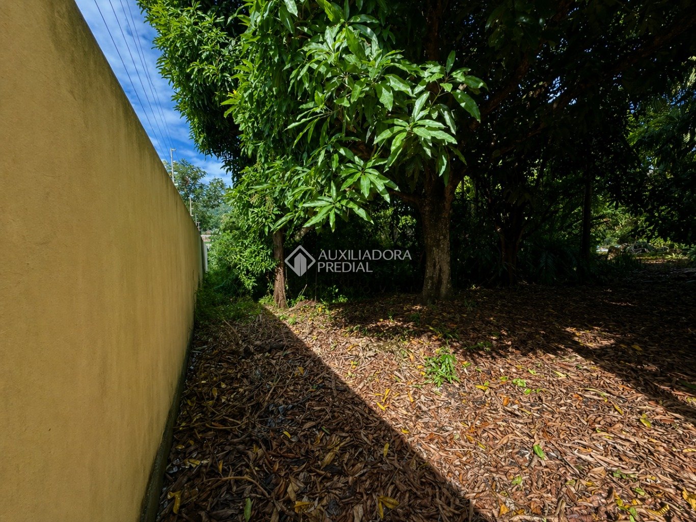 Imóvel — foto 5