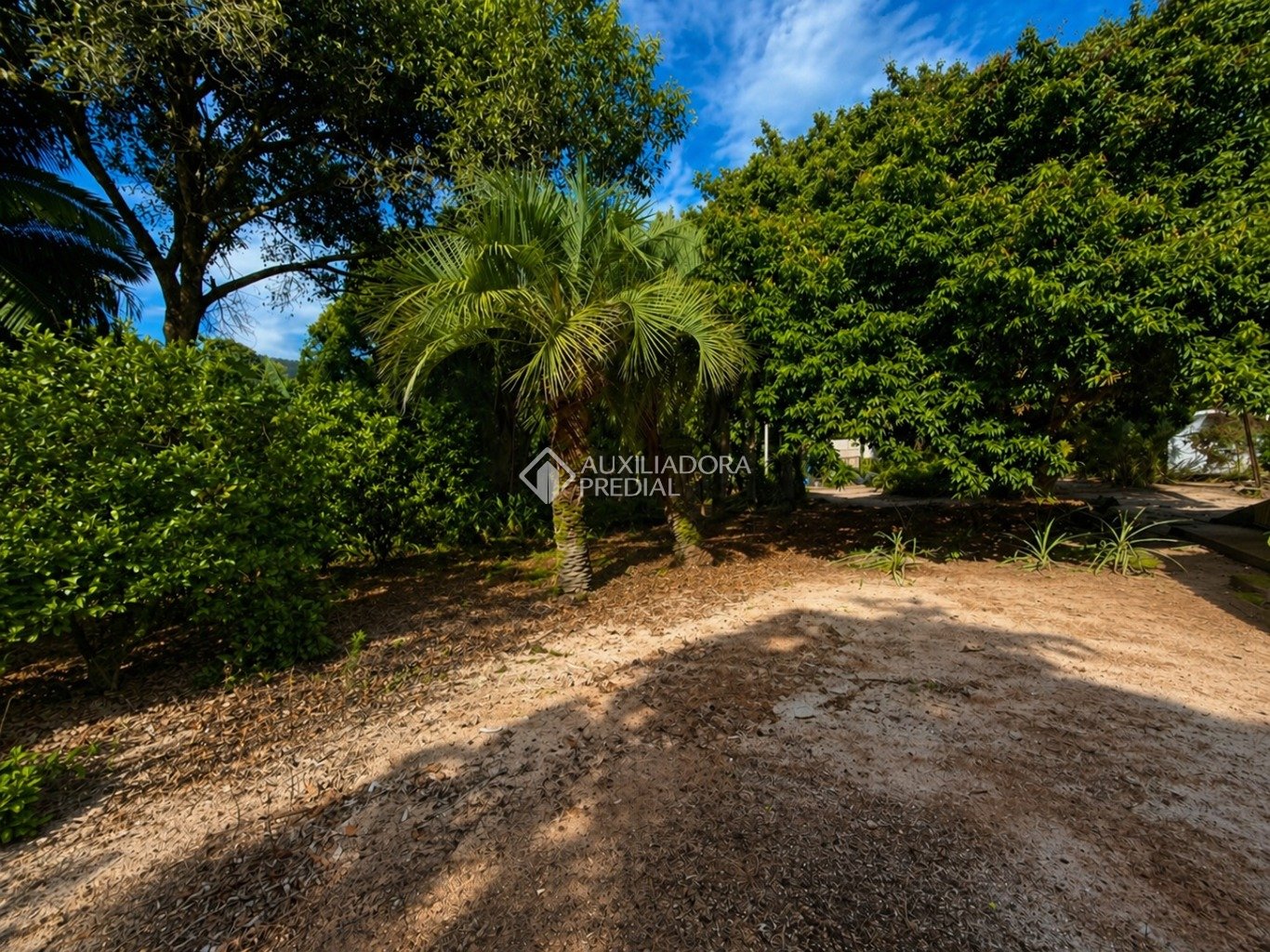 Imóvel — foto 6
