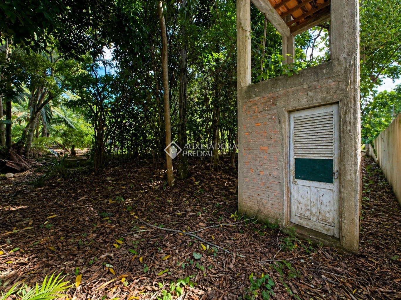 Imóvel — foto 7