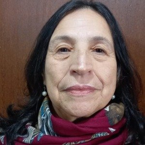 Foto do corretor Iara Germer