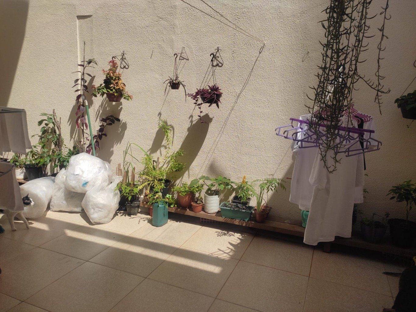 Casa, 3 quartos, 175 m² - Foto 18