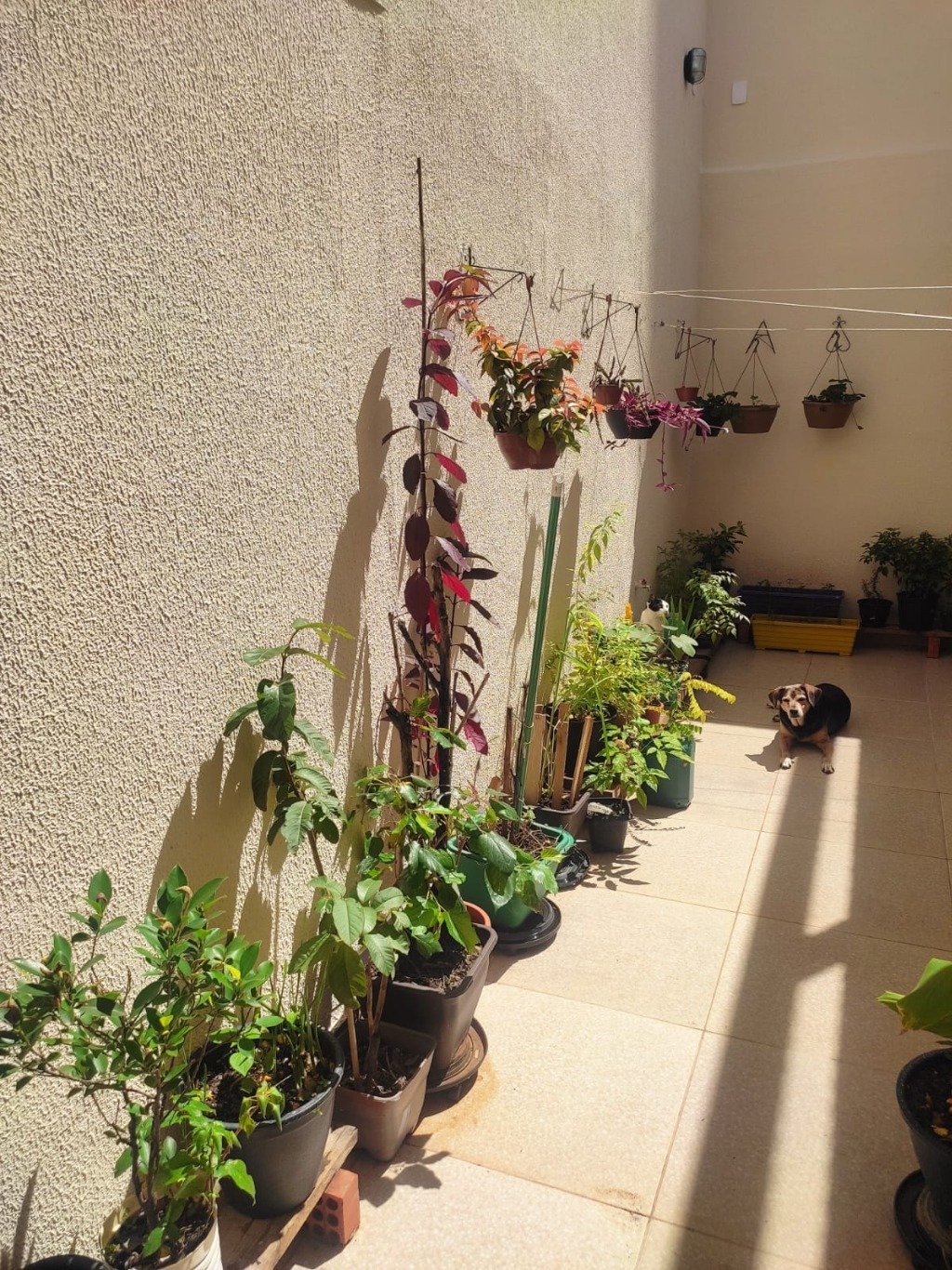 Casa, 3 quartos, 175 m² - Foto 20