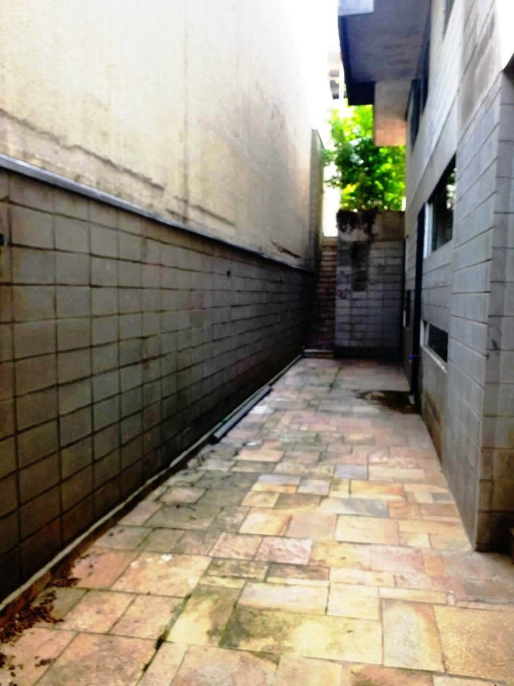 Casa, 4 quartos, 433 m² - Foto 33