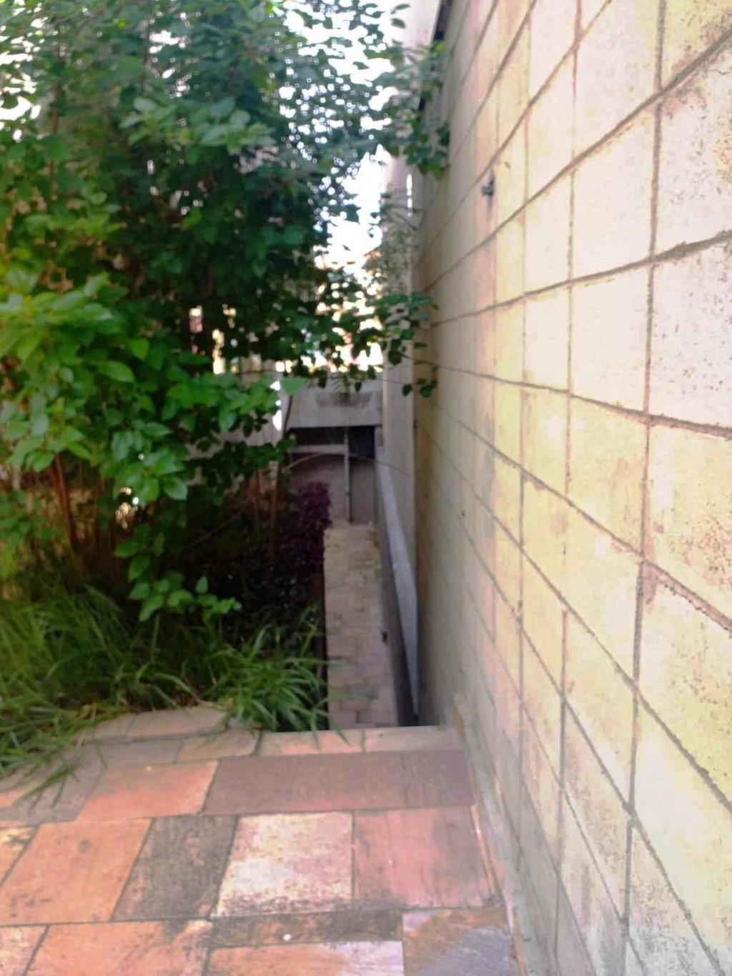 Casa, 4 quartos, 433 m² - Foto 44