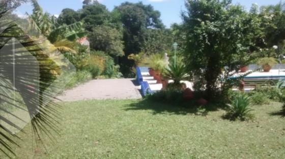 Foto 19